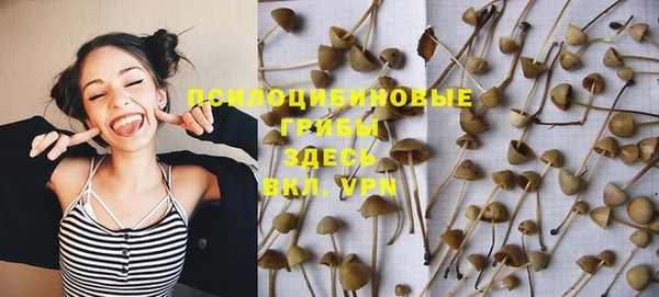 дмт Баксан