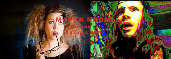 крисы Белокуриха