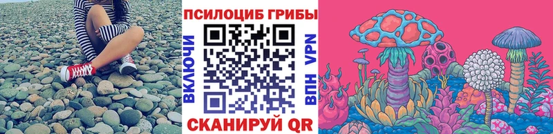 Купить  Кувандык  Галлюциногенные грибы Psilocybine cubensis 